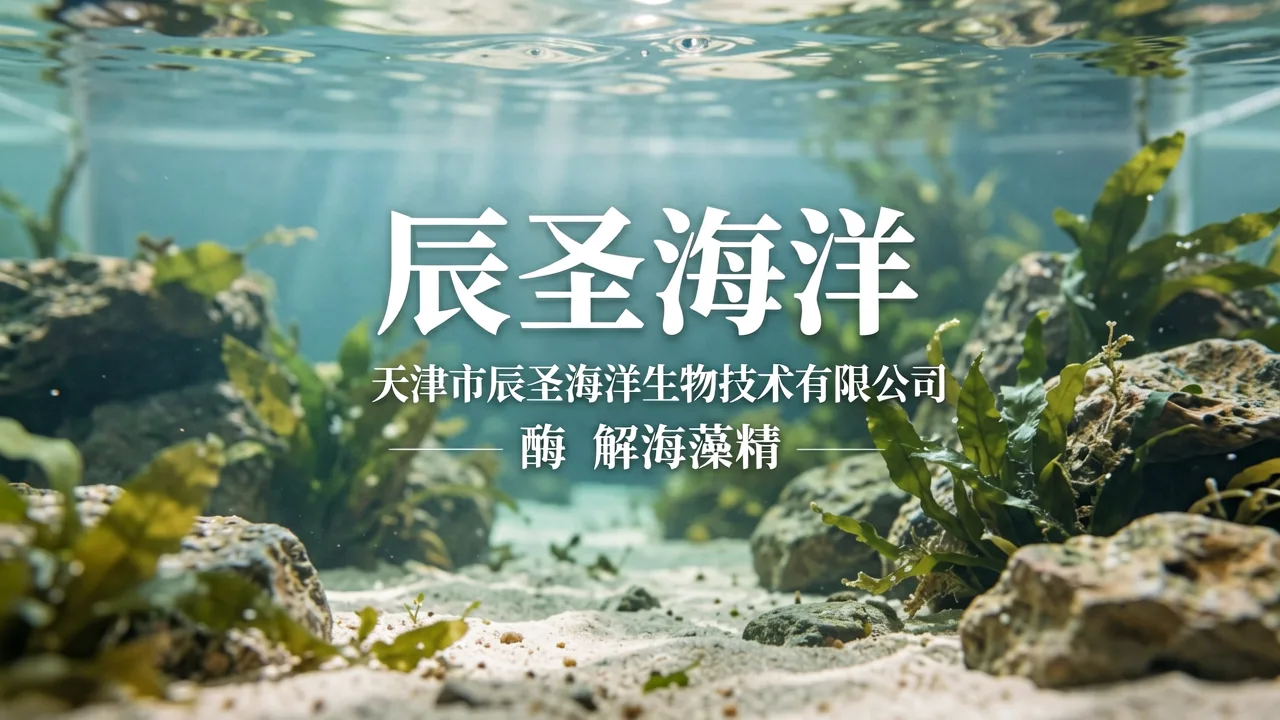 天津市辰圣海洋生物技术有限公司 主题配图